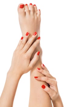 Woman with beautiful neatly groomed red finger and toe nails sits with bare feet clutching her ankles with her hands on white in a concept