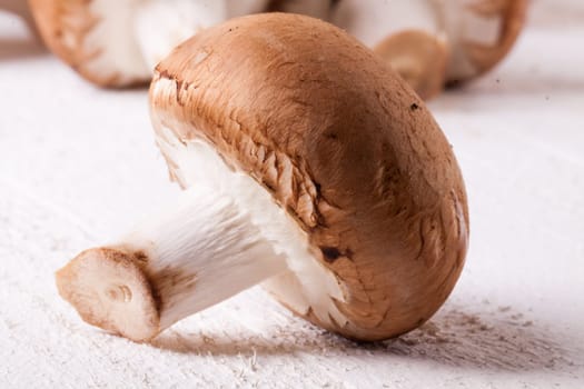 Fresh brown stone mushrooms as a close-up on a rustic white wooden board