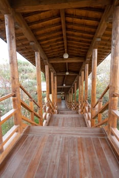 closeup of traditional wooden Japanese house outdoors