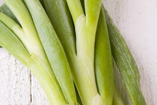 Bunch fresh leek onions spring onions with root on a rustic white wooden board