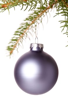 Traditional Christmas ball hung on a green fir branch isolated against a white background