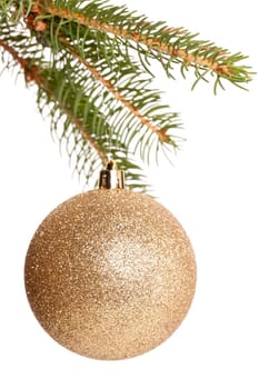 Traditional Christmas ball hung on a green fir branch isolated against a white background