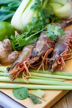 Ingredients for Tom Yam soup with lemongrass shrimp coriander on a kitchen board