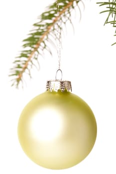 Traditional Christmas ball hung on a green fir branch isolated from white background