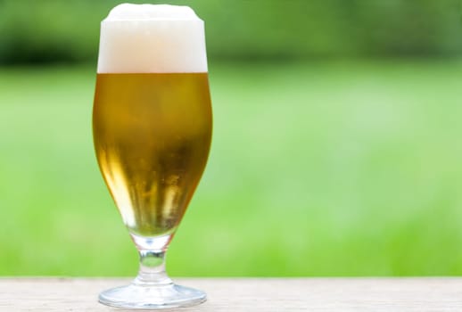 Beer tulip with a white foam crown against a green background outdoors