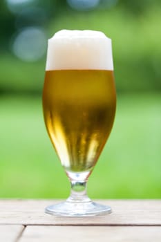 Beer tulip with a white foam crown against a green background outdoors