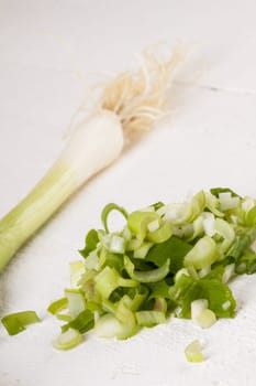 Leek spring onions with root as a whole and cut as a close-up on a white wooden board