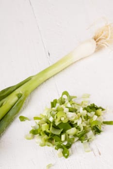 Leek spring onions with root as a whole and cut as a close-up on a white wooden board