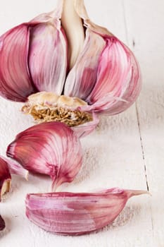 Garlic tuber with toes Fresh in whole and as a detail as a close-up on white wood