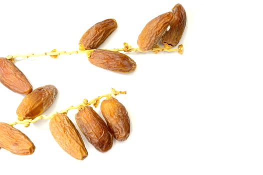 Dates
