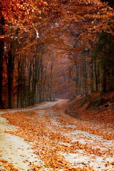Vintage photo of curving road in autumn forest