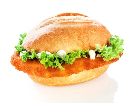 Delicious crusty fish burger or roll with a golden fried crumbed fish fillet and crinkly lettuce topped with mayo on a white background