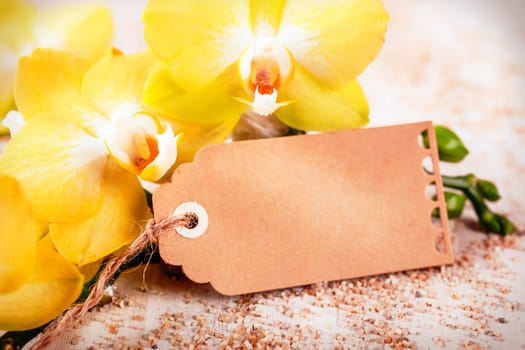 beautiful fresh bright yellow phalaenopsis orchids with a blank decorative brwon card or gift tag with copyspace for your message of love on Valentines Day or an anniversary