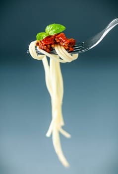 Italian spaghetti twirled around on a fork with meaty bolognaise sauce and fresh basil leaves against a graduated grey background with copyspace