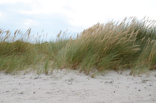 Dunes