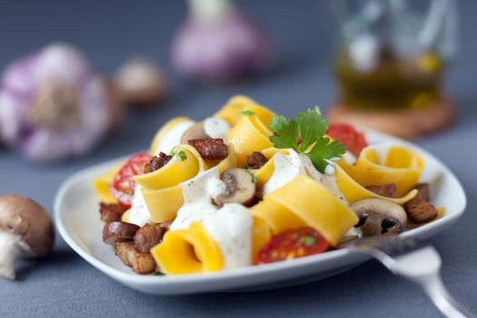 Delicious Italian cuisine of pappardelle noodles or pasta cooked with mushrooms and tomatoes and drizzled with a seasoned cream sauce with herbs