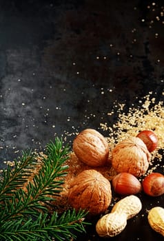 Traditional Christmas nuts with whole almonds, hazelnuts and peanuts in their shells on a dark background with scattered sugar crystals and pine foliage , with copyspace