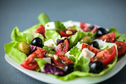 Low angle view of a plate of fresh healthy Mediterranean salad with feta, tomato and olives on a bed of leafy greens
