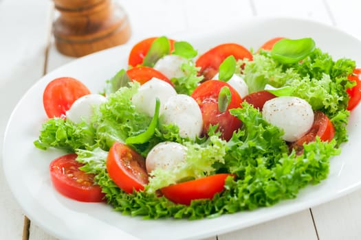 Delicious healthy mozzarella salad with cheese pearls, frilly leafy lettuce, tomato and fresh herbs for tasty Italian cuisine