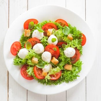 Italian mozzarella cheese and tomato salad with tomatoes and crisp crunchy fried bread cretins, view from above on a plate on white wooden boards, square format