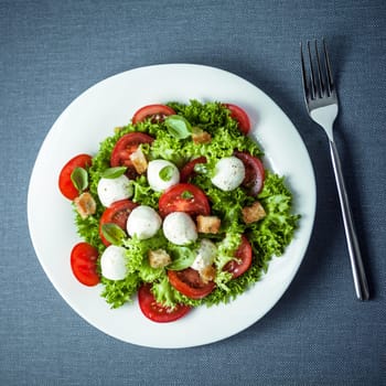 Mozzarella salad with crunchy fried croutons, tomato and frilly lettuce garnished with fresh basil leaves, overhead view
