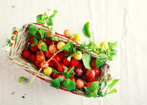 Overhead view of a wicker basket filled with fresh cherries and leaves on display at farmers market on a neutral cream textured cloth with creases and copyspace