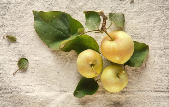 Three Sweet Fresh Green Apples on Table Cloth. Natural Good Skin Vitamin.
