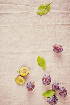 Fresh Ripe Forest Berries Isolated on Off White .