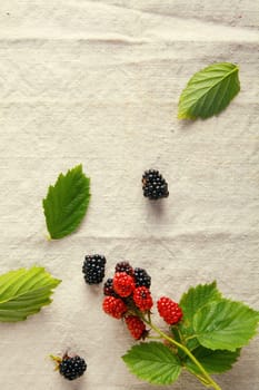 Fresh sweet red and blue berries on vintage cloth background.