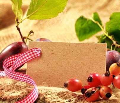 Country background with colorful red rose hips and fresh plums on leafy twigs with a blank label decorated with a red and white ribbon on burlap