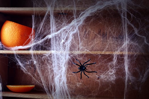 Spooky Halloween spider web background covering wooden shelves with a fresh pumpkin and large spider crawling across it