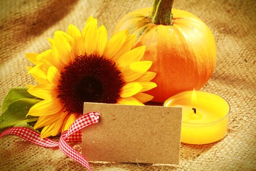 Colorful Thanksgiving or autumn card design with vivid yellow sunflower and fresh orange pumpkin on rustic hessian with a burning candle and blank gift tag with decorative ribbon for your greeting