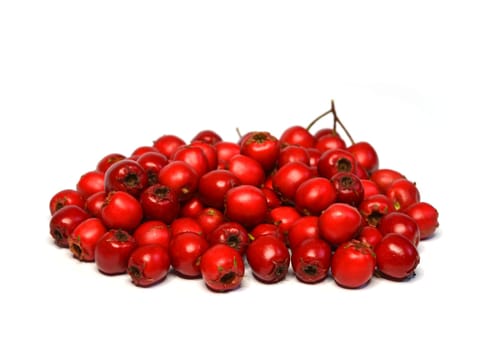 Hawthorn