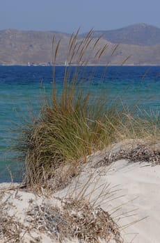 Beach on Kos
