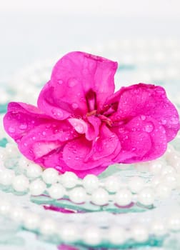 Pink flower and pearl necklace