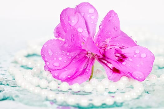 Pink flower and pearl necklace