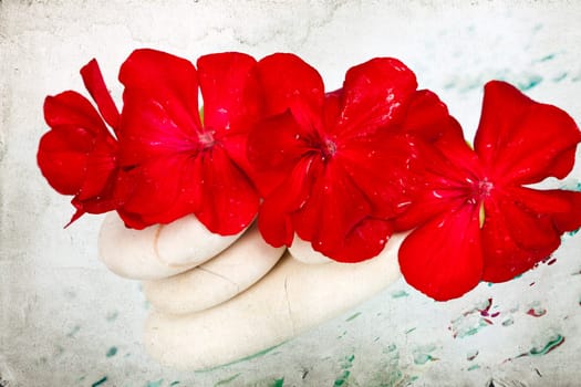 Vintage photo of spa stones and red flower