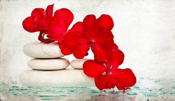 Vintage photo of spa stones and red flower