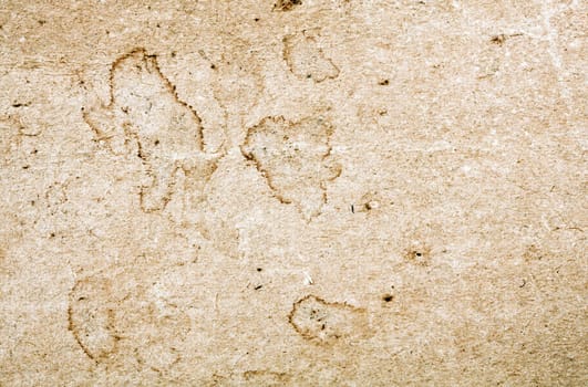 Vintage paper texture for background