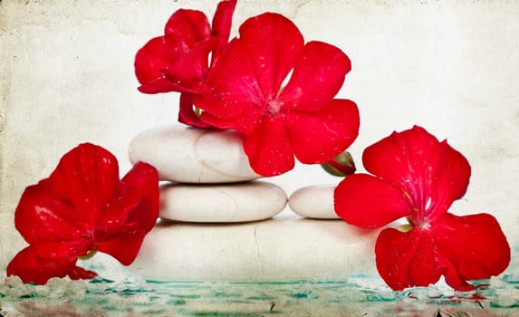 Vintage photo of spa stones and red flower