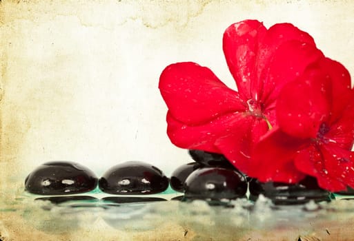 Vintage photo of spa stones and red flower