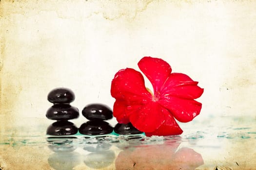 Vintage photo of spa stones and red flower