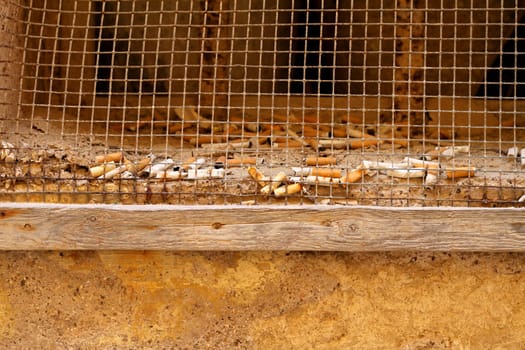 Small window full of butts.