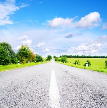 green field and along  road