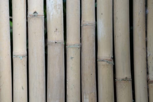 A close up shot of a bamboo barrier