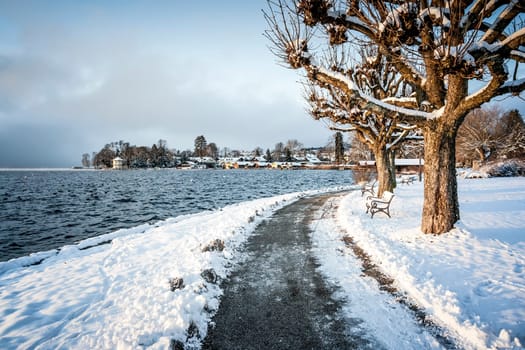 An image of a nice winter scenery