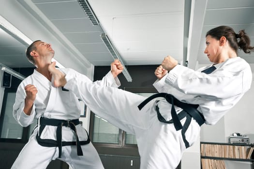 An image of a martial arts master