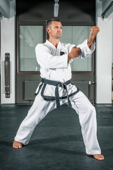 An image of a martial arts master