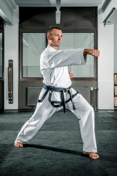 An image of a martial arts master