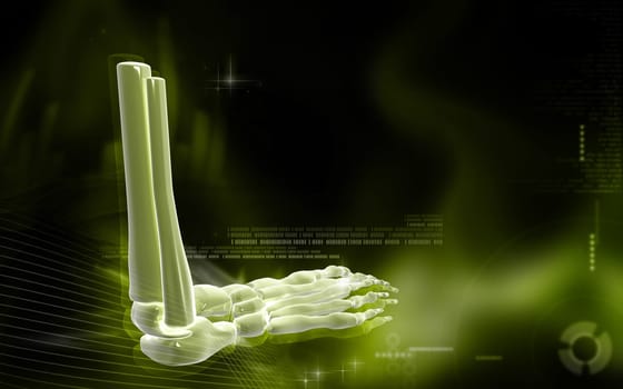 Digital illustration of Leg bone in colour background